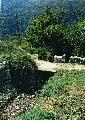 © Υπουργείο Πολιτισμού και Αθλητισμού, © Διεύθυνση Νεώτερης και Σύγχρονης Αρχιτεκτονικής Κληρονομιάς